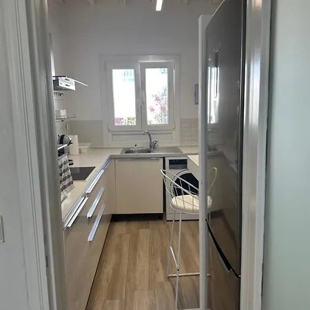 Сasa de vacaciones Casaornos Ornos (Mykonos)