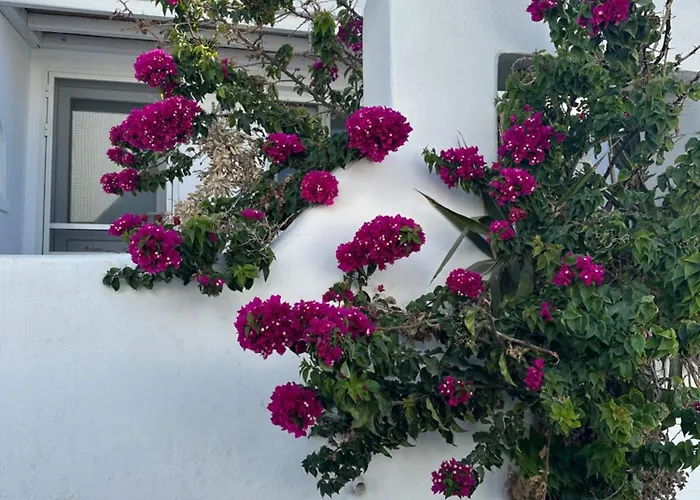 Casaornos 오르노스